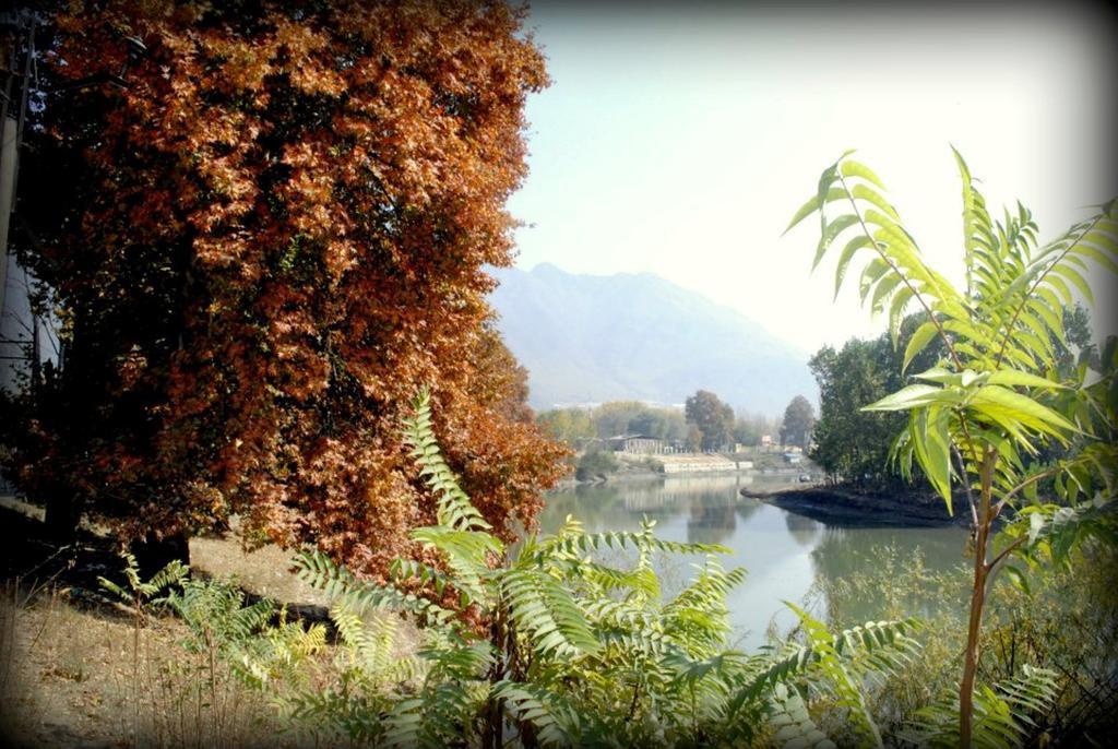 Hotel Welcome Residency Srinagar  Luaran gambar
